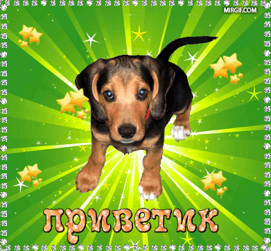 Классные бесплатные анимационные картинки приветики для всех!