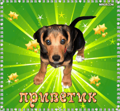 Классные бесплатные анимационные картинки приветики для всех!