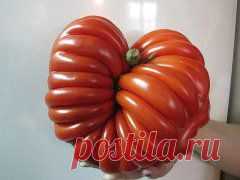 Одноклассники