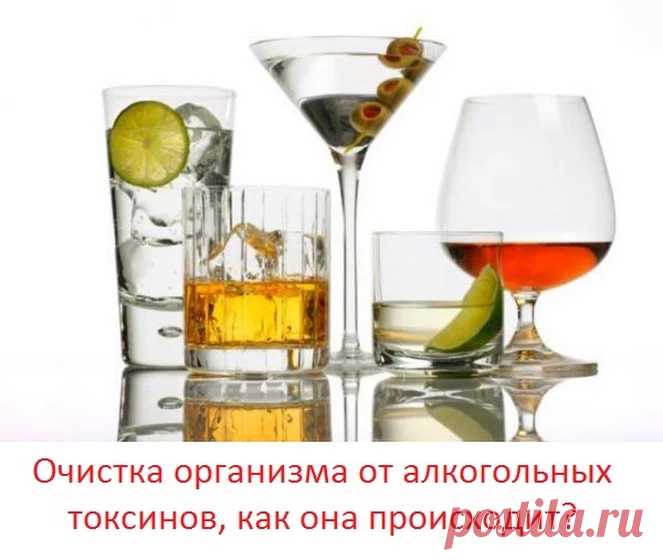 Google+