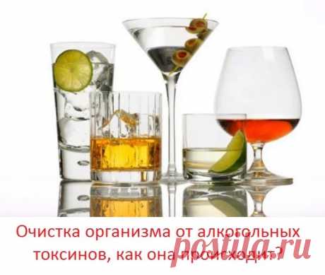 Google+