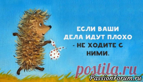 Искала картинку, а набрела на «Фитнес для мозга», как это частенько бывает. - запись пользователя Юлия61 (Юлия Левина) в сообществе Болталка в категории Юмор