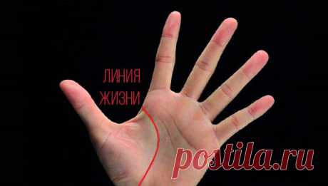Какие линии указывают на то, что у вас «счастливая» рука: 4 метки счастливчика в хиромантии | Meridian | Яндекс Дзен