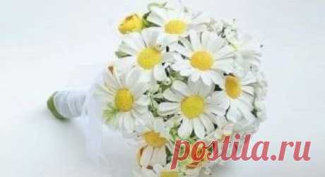 Симпатичная ромашка своими руками Делаем милый цветок своими руками