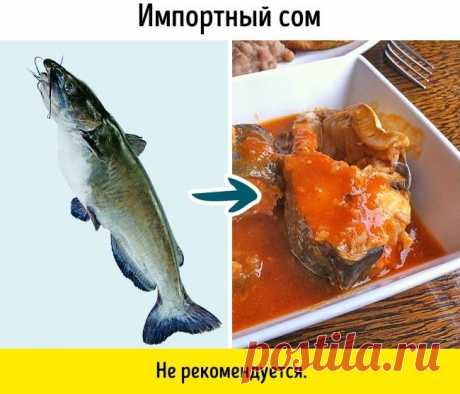 9 видов рыбы, которые не стоит есть Многие из нас знают, что рыба не только вкусна, но и полезна. Но существуют и такие сорта, употребление которых может нанести вред здоровью.Мы расскажем о 9 видах рыбы, которые следует включать в раци...