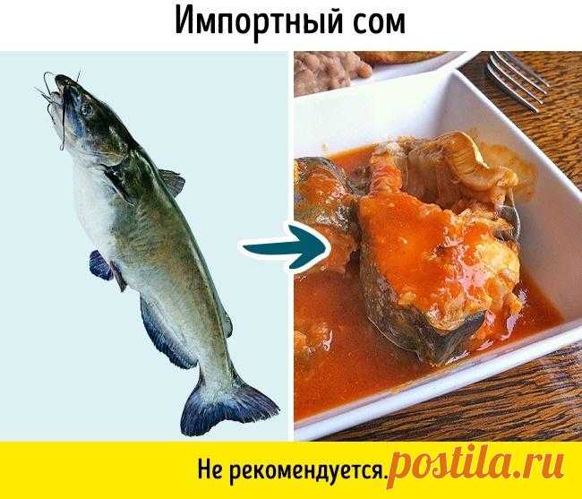 9 видов рыбы, которые не стоит есть Многие из нас знают, что рыба не только вкусна, но и полезна. Но существуют и такие сорта, употребление которых может нанести вред здоровью.Мы расскажем о 9 видах рыбы, которые следует включать в раци...