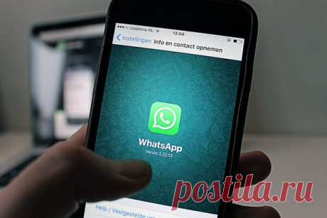 Как прочитать удаленное сообщение в Whatapp | О Гаджетах | iKeepUp | Яндекс Дзен