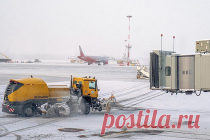 Россиянке после рейса пришлось искать своего пса в снежных полях возле аэропорта. Россиянке, прилетевшей в Санкт-Петербург ночным рейсом Turkish Airlines, пришлось полтора часа искать сбежавшую из переноски собаку, за которой не уследили сотрудники аэропорта. По прилете выяснилось, что переноска с питомцем разбилась при выгрузке из багажного отсека самолета, а пес убежал.