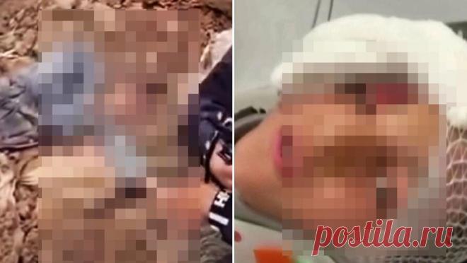 В Турции спасли похищенного мальчика, похороненного заживо. В Турции спасли 10-летнего мальчика, похороненного заживо под камнями, пишет Metro. Подростка удалось найти по его крикам. Как пишут СМИ, Амир Альцеддух исчез 5 декабря после школы. Полиция изучила записи более чем 200 камер, пока не ...