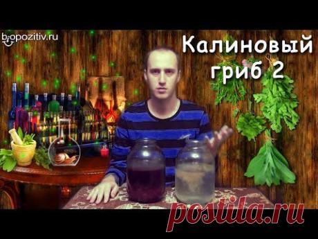Калиновый гриб 2 - YouTube