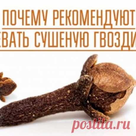 ЗАЧЕМ ЖЕВАТЬ СУШЕНУЮ ГВОЗДИКУ? - МирТесен