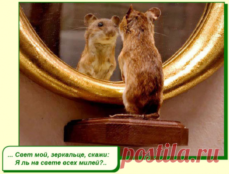 ХОРОШЕГО ВАМ НАСТРОЕНИЯ
