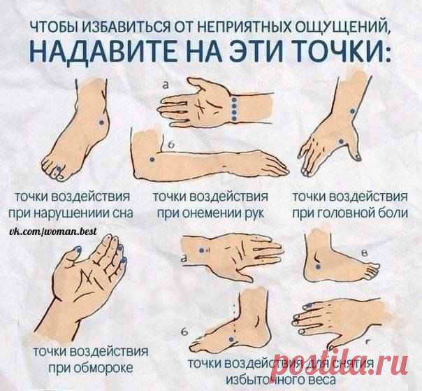 Идеальная Хозяюшка