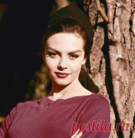 Невероятно красивая женщина, идеал женской красоты и обаяния, смотришь на нее, как на прекрасный цветок и не можешь насмотреться.

Мишель Мерсье по праву входит в десятку самых красивых женщин всех времен и народов. Сколько бы не было прекраснейших девушек в мире, таких как Мишель Мерсье больше не существует. Идеал красоты, несмотря на то, что вкусы меняются, но этот идеал остается на самом высочайшем пьедестале.