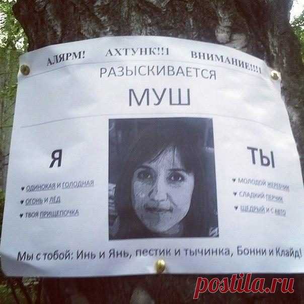 Народные перлы. вот умора! / Писец - приколы интернета