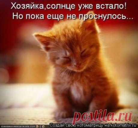 Солнце ещё не проснулось