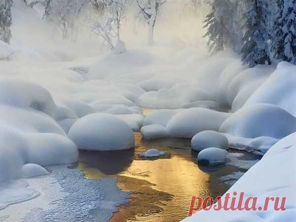 Яндекс.Фотки
