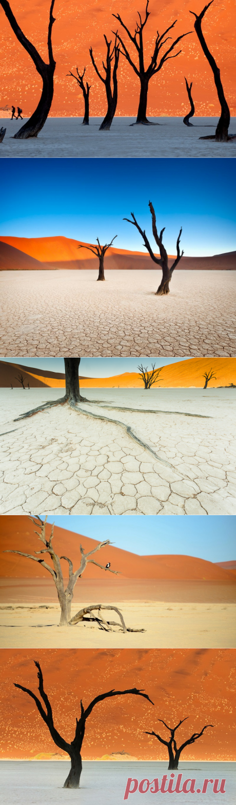 Сюрреалистические пейзажи Мертвой долины в Намибии (20 фото)