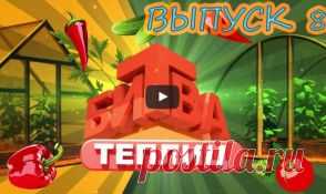Видеопубликации