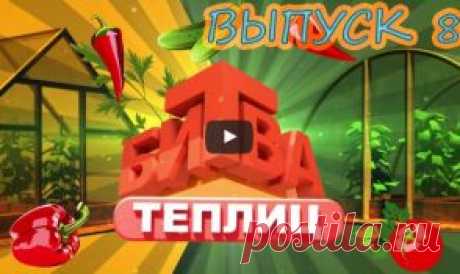 Видеопубликации