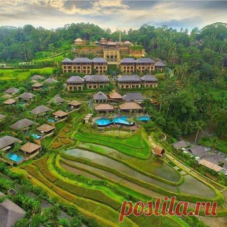 (1) "Цветы- радость жизни"