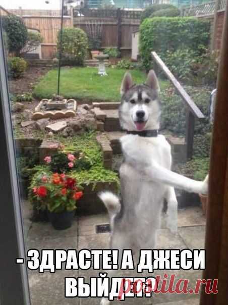 Приколы без границ | ВКонтакте