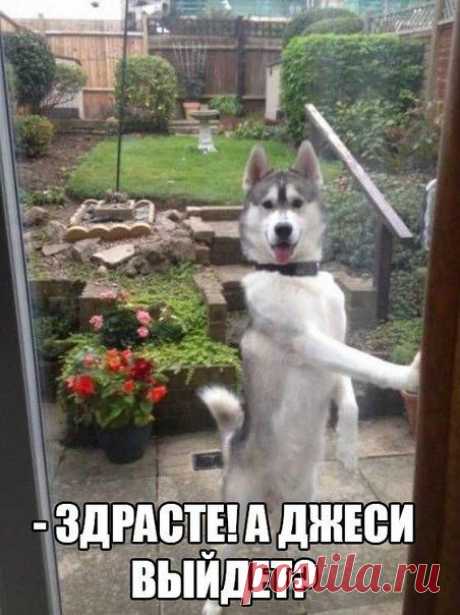 Приколы без границ | ВКонтакте