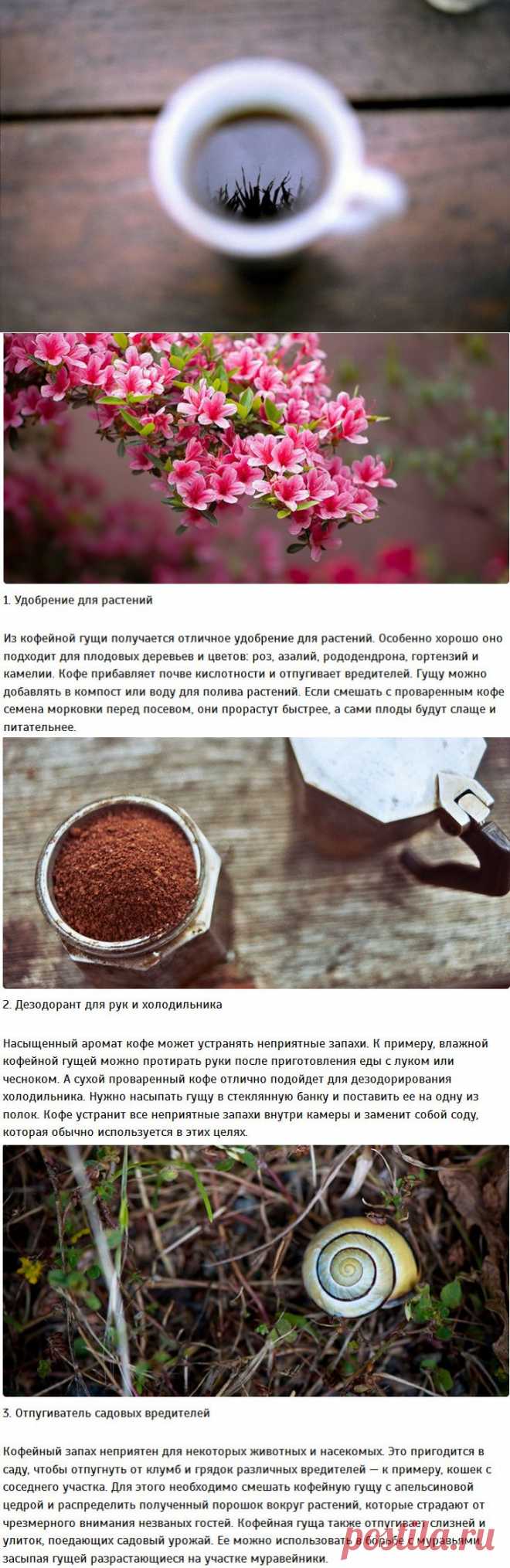 15 способов, как использовать кофейную гущу