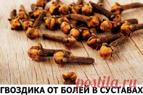 Боль в суставах прогонит гвоздика! Боль в спине, в локтях и коленках, при артрозах, ревматизме, радикулите, миазите, невралгии прекрасно снимает настоянная на одеколоне пряность гвоздика.
Возьмите пять пакетиков (по 20г) ароматных бутончиков и залейте двумя флаконами тройного одеколона. Закрытую стеклянную банку держите в темном месте ( не в холодильнике) неделю, постоянно встряхивая.
Готовая целебная растирка должна иметь насыщенный коричневый цвет. Натерев ею больные места, прикройте полиэтиле