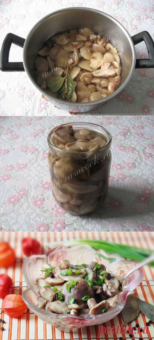 Маринованные маслята, рецепт с . Как мариновать маслята?