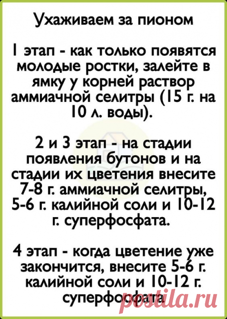 моя дача
