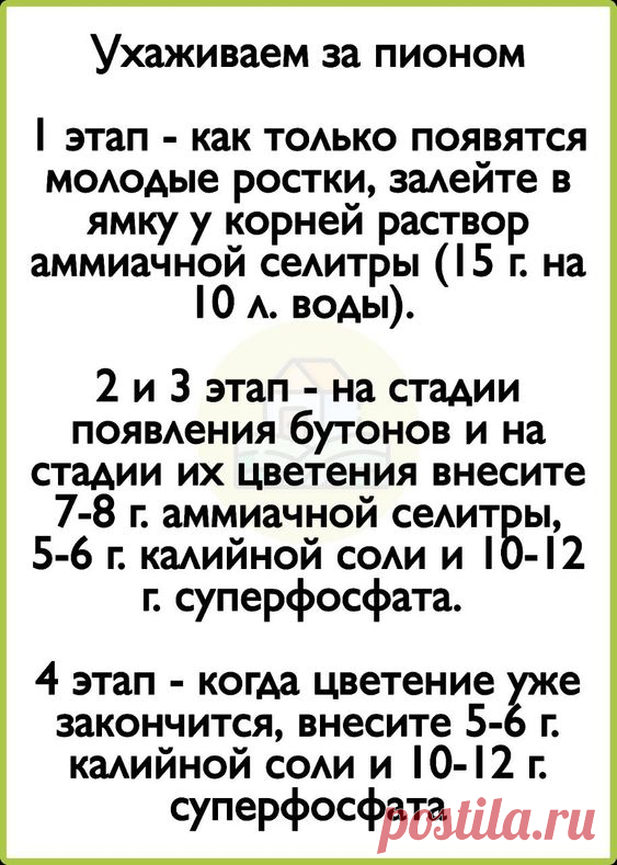 моя дача