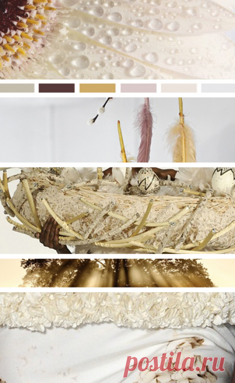 seed; Moodboards