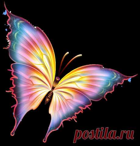 Яндекс.Фотки