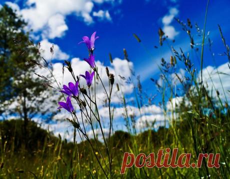 ФОТОМАСТЕРСКАЯ ПРИРОДЫ
Сергей Геннадьевич