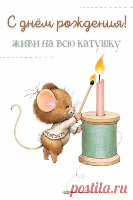 Живи на всю катушку (открытка 899): Бесплатные картинки &amp;#8226; Otkrytki.Top