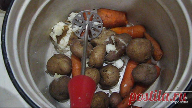 Утренняя еда для кур - мешанка. Мой неизменный рецепт приготовления | Хозяйство Воронова | Яндекс Дзен