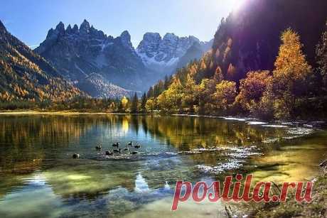 Интересные новости