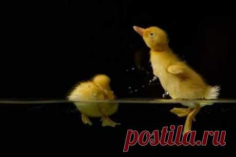 (2) Добро пожаловать! | LinkedIn