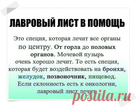 (81) Одноклассники