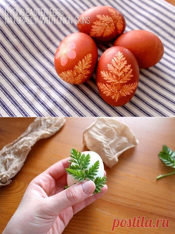 Одноклассники