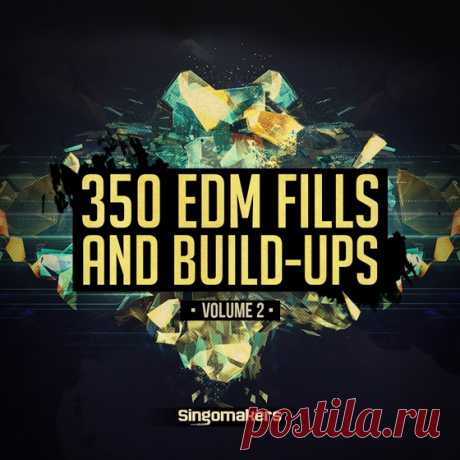 Singomakers EDM Fills and Build-Ups Vol.2 WAV REX-AUDIOSTRiKE  | 488 MB
are proud to present VOLUME 2 of the brilliant collection of EDM Fills and Build-Ups!

Every modern EDM, Big Room, Electro, Progressive, House and even Techno, Tech House and Dubstep track needs great powerful Fills before the drop and massive Build-Ups.