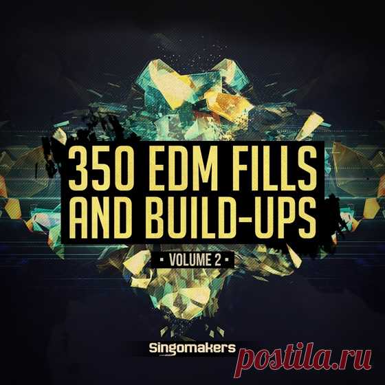 Singomakers EDM Fills and Build-Ups Vol.2 WAV REX-AUDIOSTRiKE  | 488 MB
are proud to present VOLUME 2 of the brilliant collection of EDM Fills and Build-Ups!

Every modern EDM, Big Room, Electro, Progressive, House and even Techno, Tech House and Dubstep track needs great powerful Fills before the drop and massive Build-Ups.