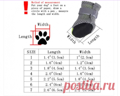 (24) Одноклассники