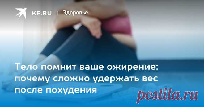 Тело помнит ваше ожирение: почему сложно удержать вес после похудения Nature: организм запоминает информацию о лишнем весе человека
