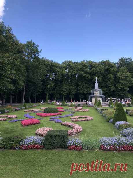 К фонтанам Петергофа — на метеоре (билеты включены) 🧭 цена экскурсии 6500 ₽, 417 отзывов, расписание экскурсий в Санкт-Петербурге