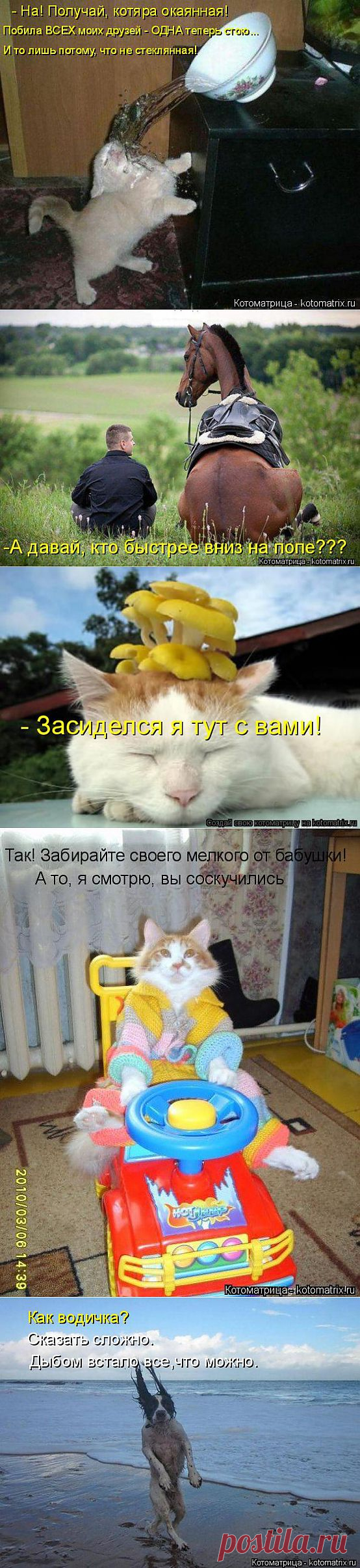 Котоматрица | ОБОРЖАКА ;)