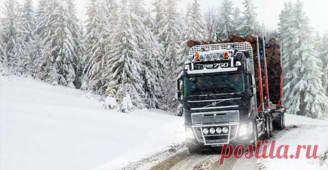 Аренда лесовозов в Екатеринбурге.
Свободны от7 шт лесовозов в Екатеринбурге.
Скания .вольво. 40 куб
лесовозы с манипуляторами ,
вездеходы на базе Урал.краз.маз.Камаз.
Цена: 8 руб.куб.км
http://special-service.info/
frizen196910@mail.ru 
89045471839