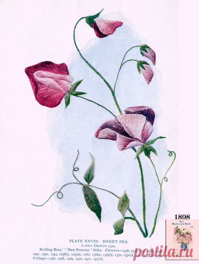 Belding Brothers XXVIII 1898