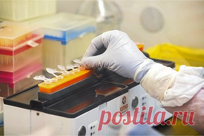 В Ленобласти в крови полуторагодовалого мальчика нашли наркотики